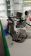 IMG-20250929-WA0043